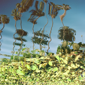 Pornhub免费观看入口
